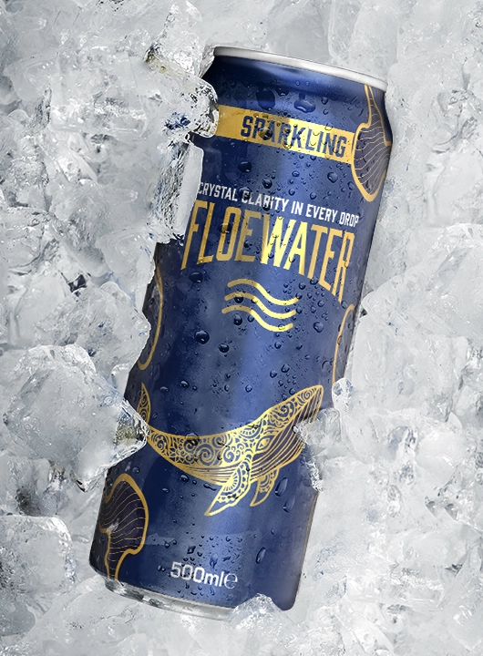 FloeWater duplán-szűrt szénsavas ivóvíz, 500 ml tálca