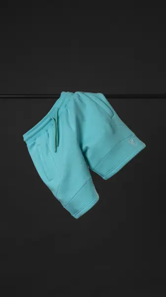 Basic Shorts Light Blue